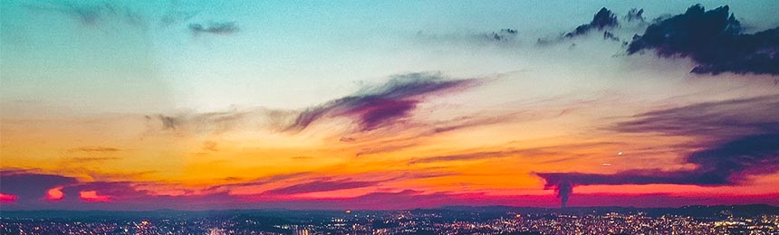 东台茶虫网_东台品茶